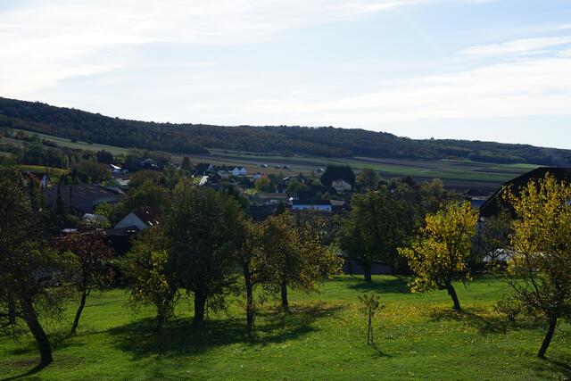 Foto: Roman Kappel
