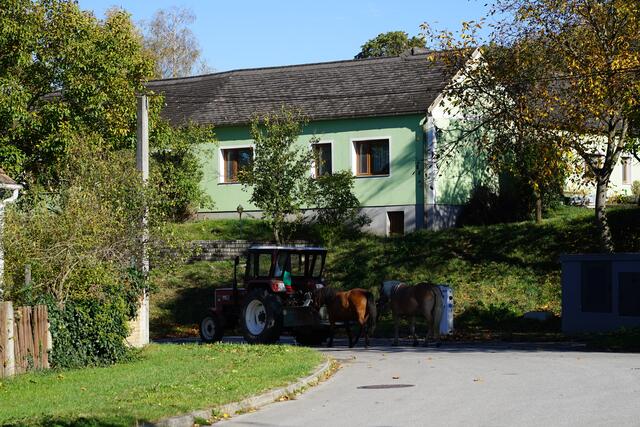 Foto: Roman Kappel