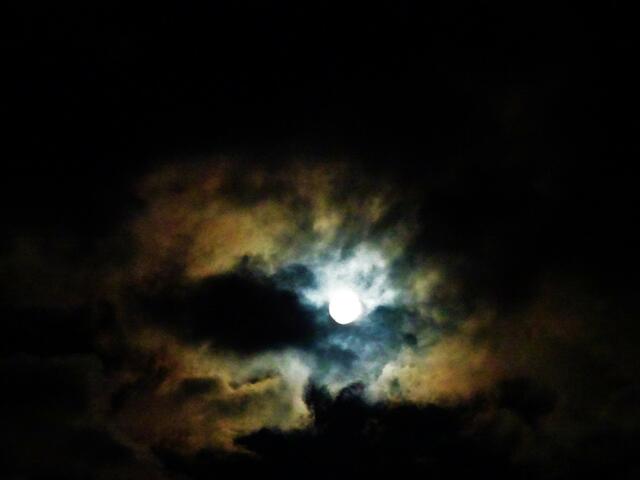 ... war es zuerst durchwegs wechselhaft bewölkt. ... | Foto: © Silvia Plischek