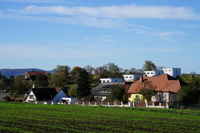 Foto: Roman Kappel