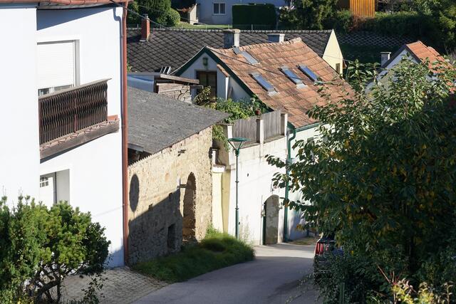 Foto: Roman Kappel