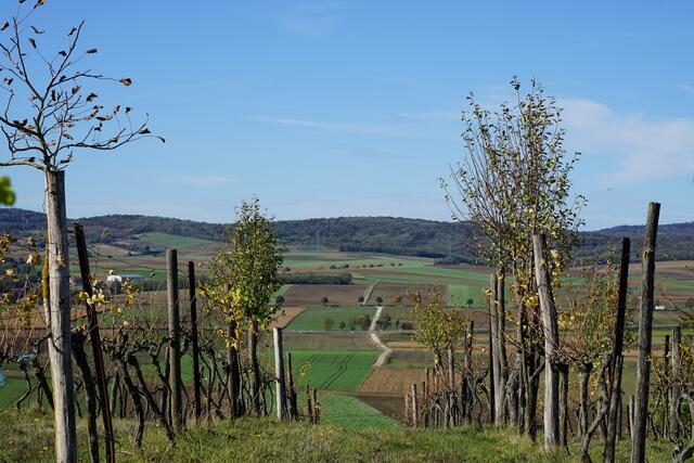 Foto: Roman Kappel