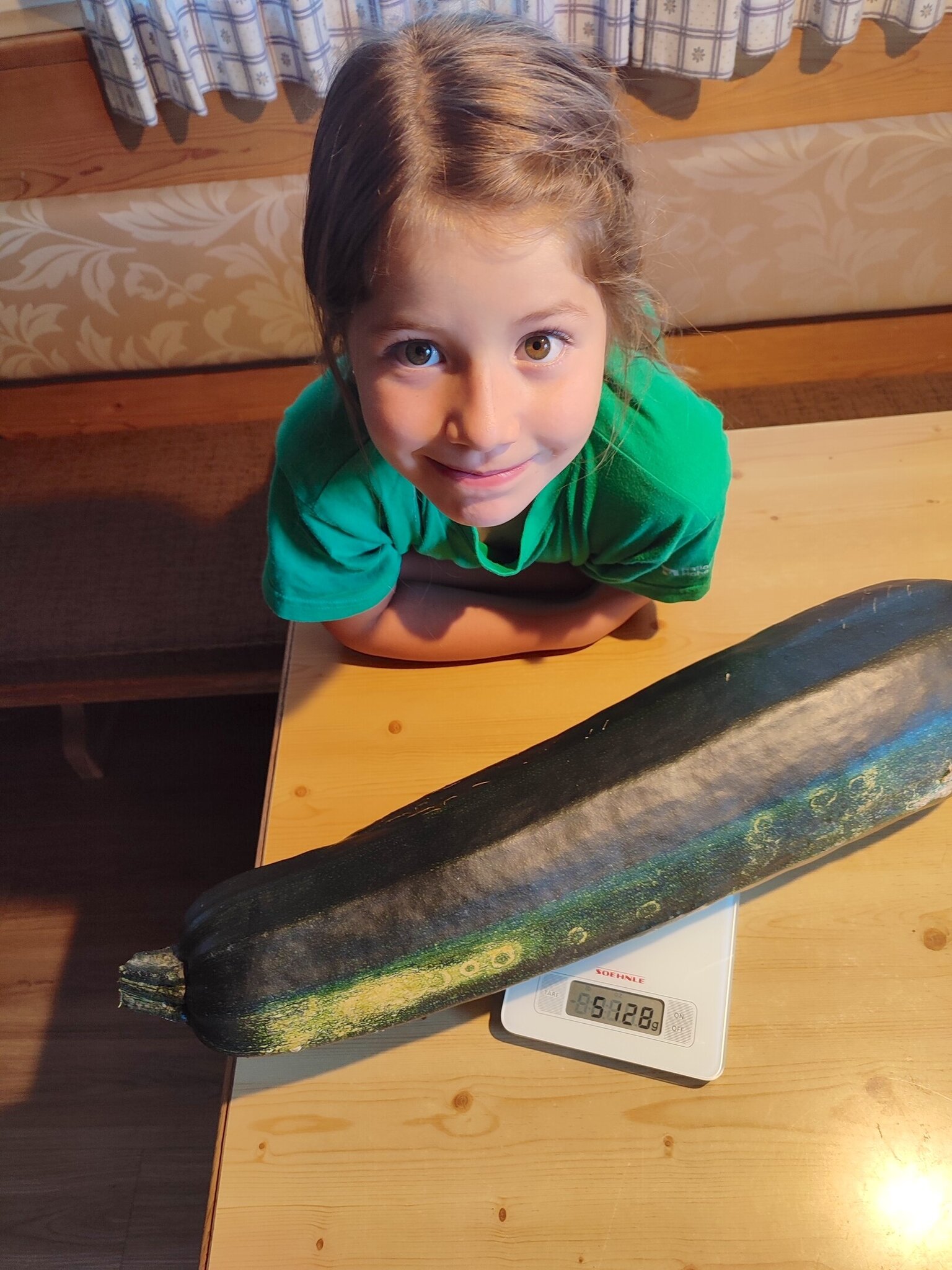 Grünes Tirol: Schwerste Zucchini im Bezirk Kitzbühel gekürt - Kitzbühel