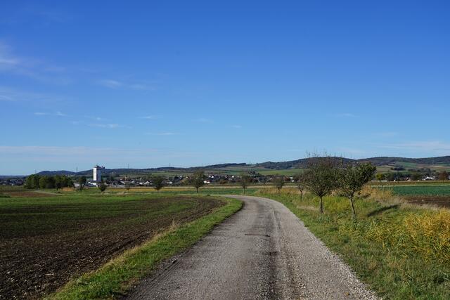 Foto: Roman Kappel