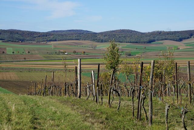 Foto: Roman Kappel