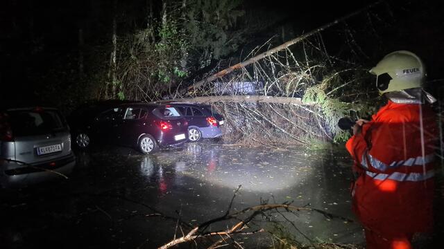 Bäume stürzten auf parkende Pkws. | Foto: Freiwillige Feuerwehr Feistritz im Rosental