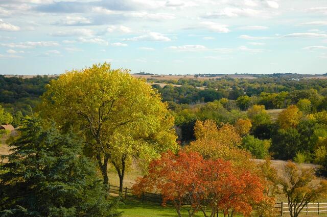 Im Nordburgenland zeigt sich am Samstag die Sonne häufiger.  | Foto: Pixabay