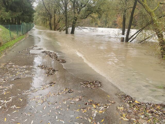 Hochwasser Drau in Lavamünd. | Foto: Georg Bachhiesl