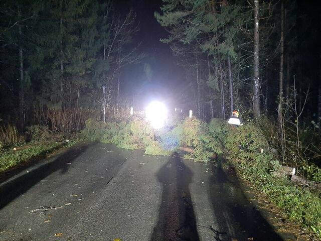 Aufgrund der starken Windböen standen die Freiwillige Feuewehr Unterbergen heute bei fünf Einsatzadressen in Unterbergen und Unterloibl im Einsatz.  | Foto: Freiwillige Feuerwehr Unterbergen
