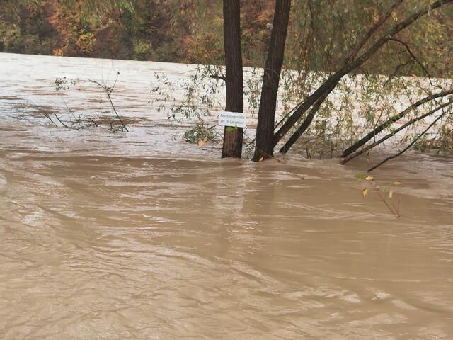 Hochwasser Drau in Lavamünd. | Foto: Georg Bachhiesl