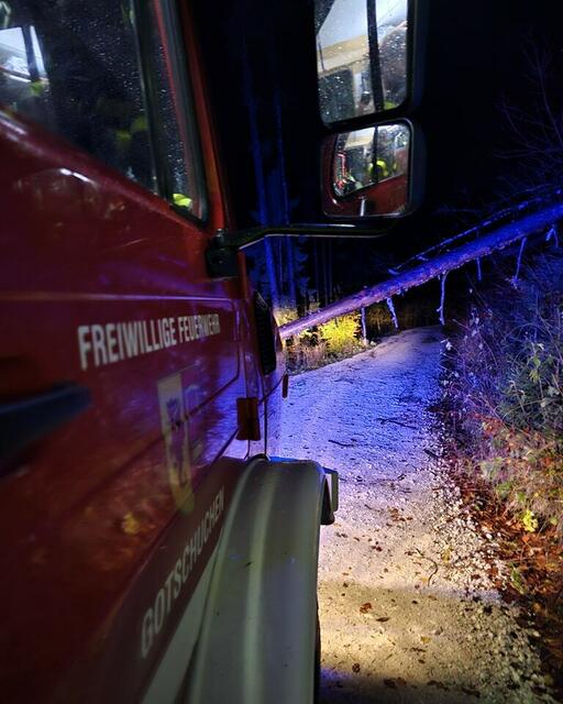 Feuerwehr Gotschuchen wurde zu umgestürzten Bäumen gerufen. | Foto: Feuerwehr Gotschuchen