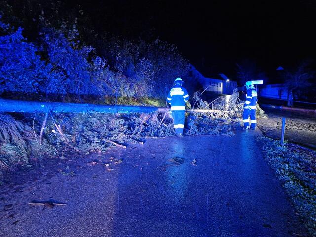 Foto: Freiwillige Feuerwehr Wellersdorf