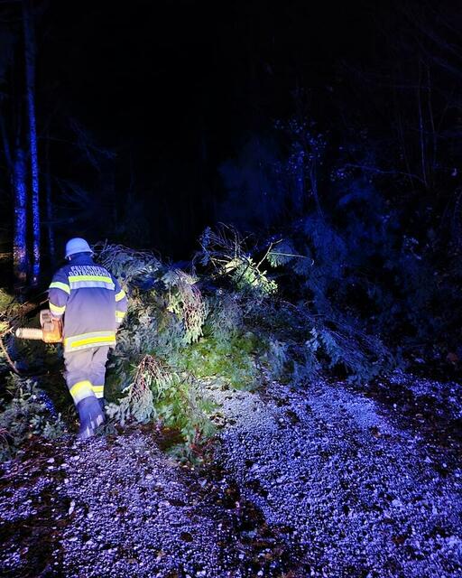 Foto: Feuerwehr Gotschuchen 