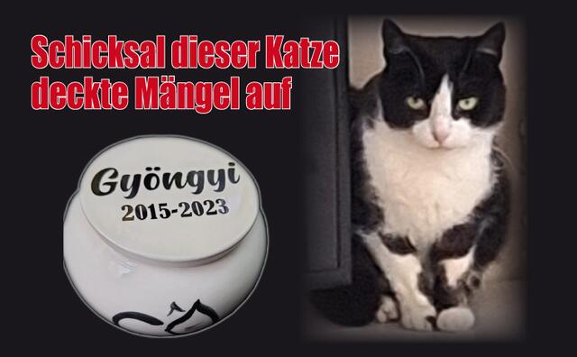 Für Tiernotruf zusätzlich die Vorwahl wählen: 02682-141 | Foto: Privat/Fotomontage Heigl