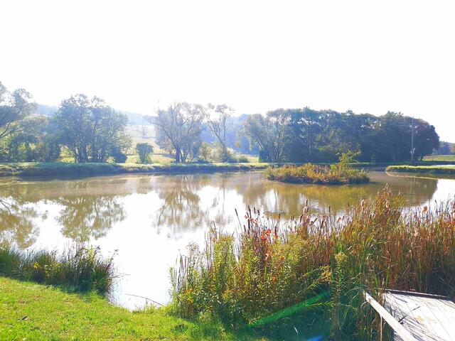 Am Sonntag zeigt sich im Burgenland nur kurzzeitig nach Mittag die Sonne. Der Vormittag wird bewölkt und regnerisch. | Foto: Karl Knor