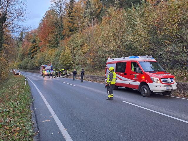 Foto: FF Innerschwand