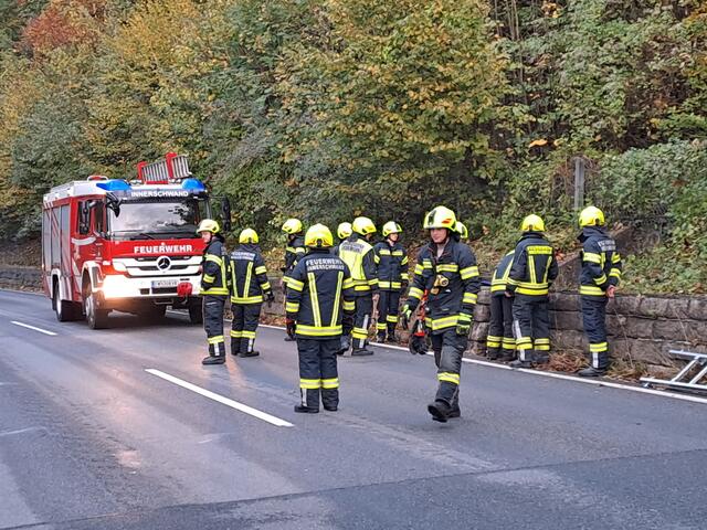 Die FF Innerschwand war mit 18 Mann und zwei Fahrzeugen im Einsatz, um das Tier zu befreien. | Foto: FF Innerschwand