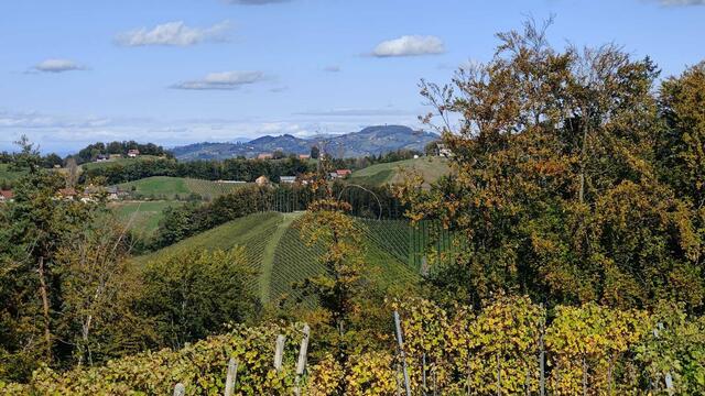Die milde Temperaturen und bunten Farben der Wälder und Weinberge luden auch in den Herbstferien noch zu ausgedehnten Wanderungen ein. | Foto: Patricia Reiterer
