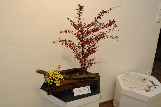 Ikebana ist eine eigenständige, ausschließlich in Japan entwickelte Kunstform.  | Foto: Alfred Peischl