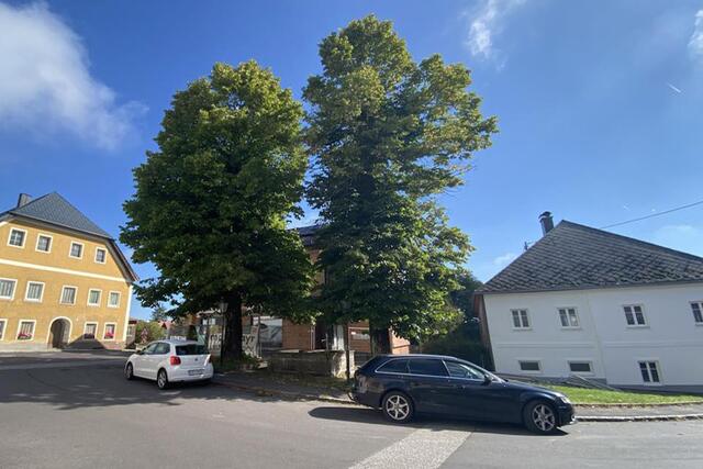 Dorflinden in Pfarrkirchen im Mühlkreis © J. Pühringer