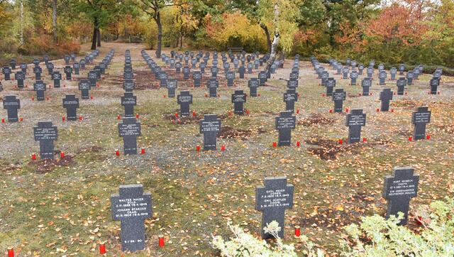 Foto: Herbert Schleich