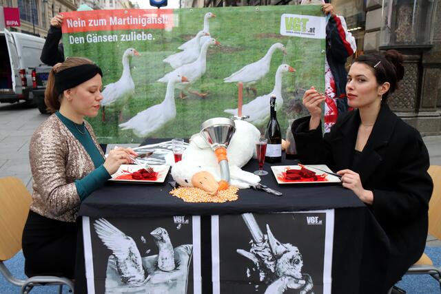 Eine Stoffgans musste symbolisch für das Leid der Martinigansln herhalten. | Foto: VGT.at