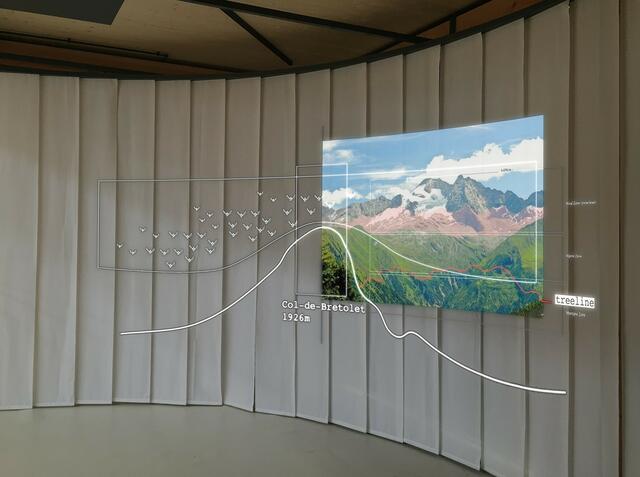 Ausstellung zu sich ändernden Lebensräumen: Ab dem 16. November 2023 am ISTA Campus in Klosterneuburg. | Foto: Sophie Falkeis