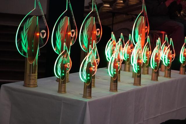 Die Awards für die Verleihung „Militär des Jahres 2023“. | Foto: Emanuel Hasenauer