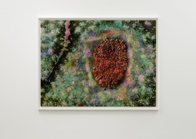  Quer durch die Stadt: Wien bekommt 2024 neues Festival - Klima Biennale Bildidee 