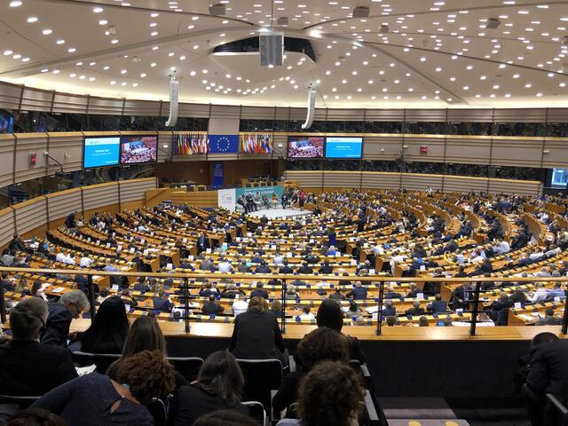 Niederösterreichische Initiativen sind europaweiter Vorreiter in der EU: Etwa das "Healthacross Gesundheitszentrum" in Gmünd.  | Foto: meinbezirk.at/nö