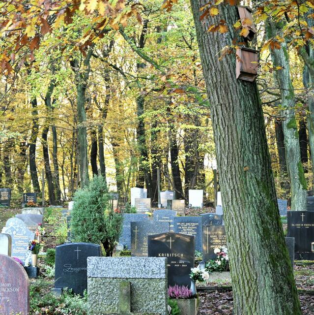 Nisthilfen für Fledermäuse im Bild rechts oben | Foto: (c) Zuzana Kobesova