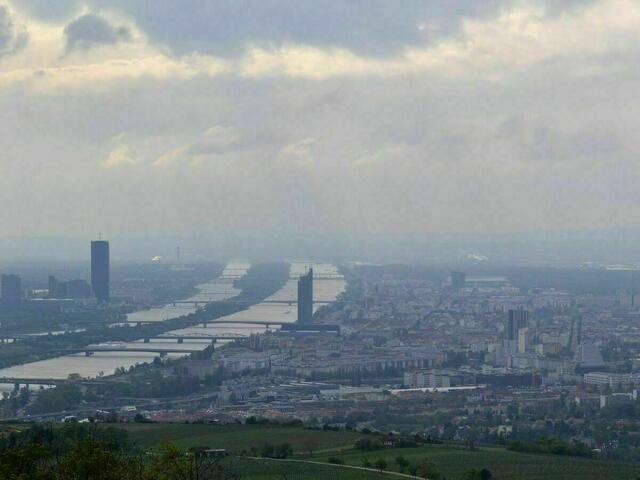 Vor allem rund um die Donau können Wienerinnen und Wiener am Morgen des 9. Novembers mit Nebel rechnen. | Foto: moise_theodor/Pixabay