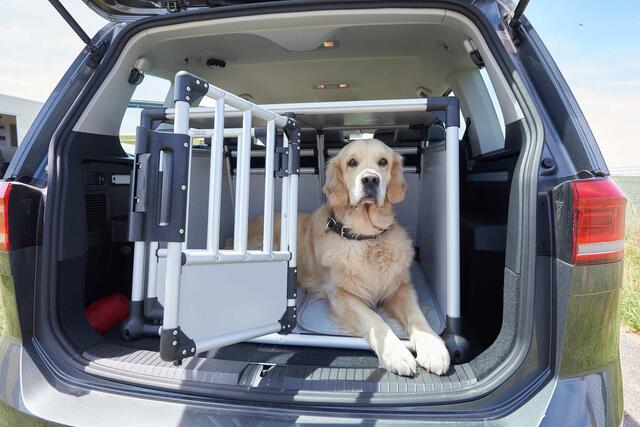 Eine Transportbox, die mit Gurten im Kofferraum befestigt ist, ist für Hund und Mensch am sichersten. | Foto: ÖAMTC (RMA Archiv)