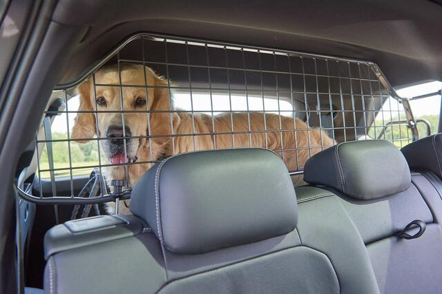 Ein Zwischengitter kann zusätzlich Abhilfe schaffen, schützen den Hund beim Unfall aber nicht vor Verletzungen. | Foto: ÖAMTC (RMA Archiv)