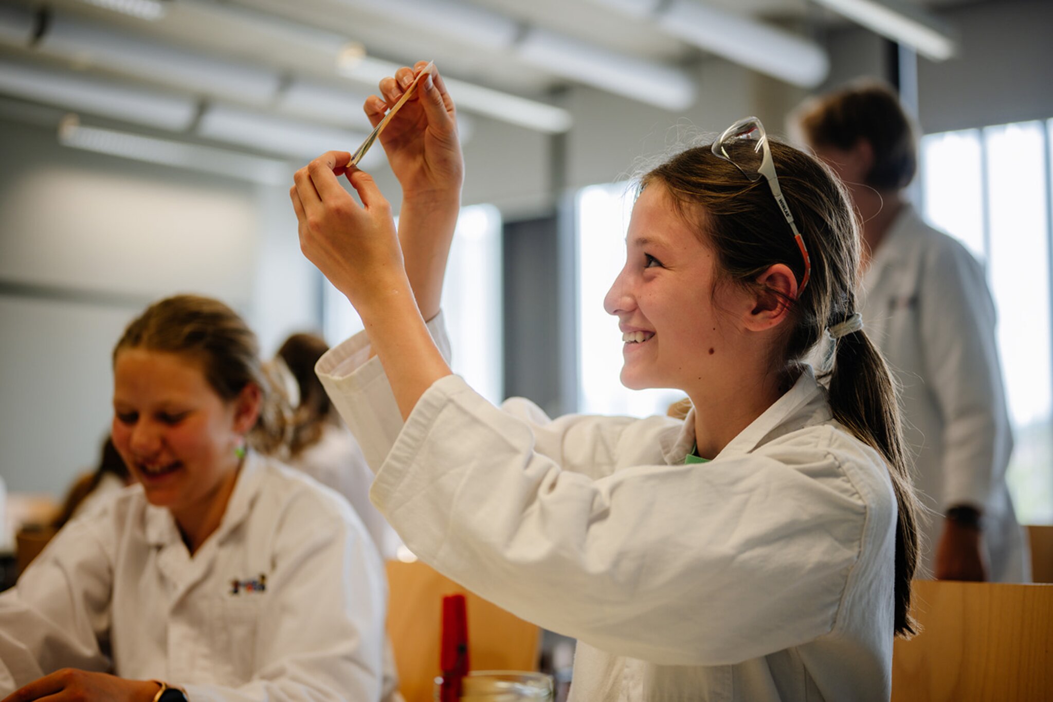 IMC Krems Young Science am Welttag der Wissenschaft Krems