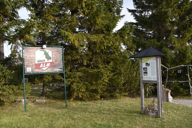 Der Naherholungsort Gaisberg soll erhalten bleiben. Aus Sicht der Grünen gefährden die Seilbahnpläne diesen Erholungsfaktor. | Foto: Philip Steiner