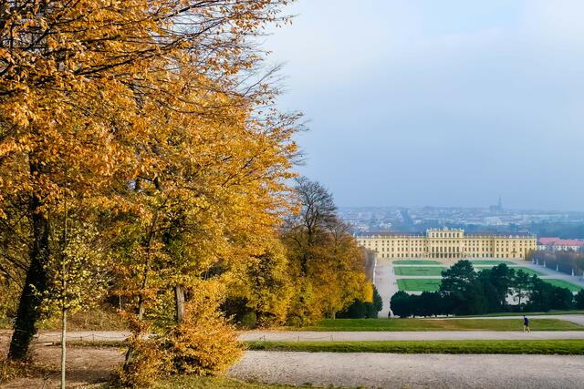 Auch beim Schloss Schönbrunn ist der Herbst wunderschön.