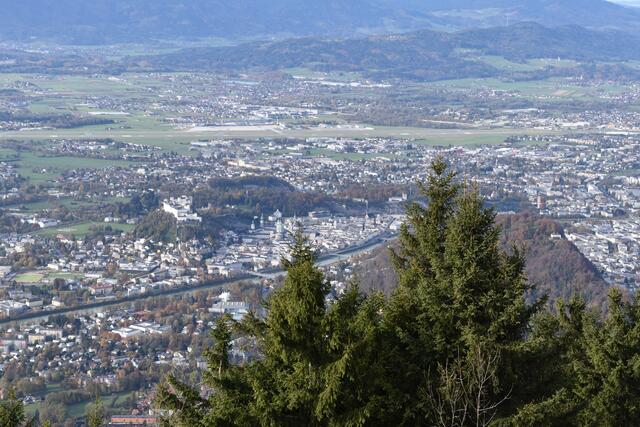 Foto: Philip Steiner