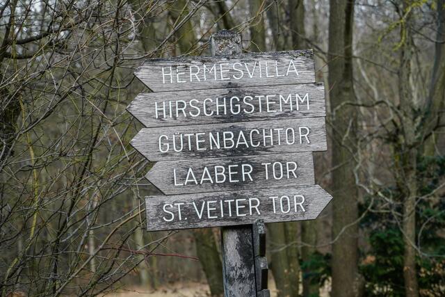 Alle Wege führen in den Lainzer Tiergarten. | Foto: MA49/Christian Fürthner