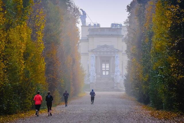 Selbst bei Nebel sind die Gärten von Schloss Schönbrunn einen Spaziergang wert.
