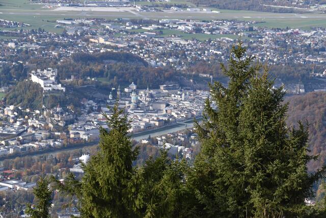 Foto: Philip Steiner