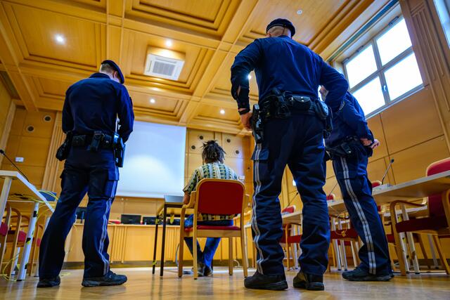 Der Strafrahmen lag bei einem bis zehn Jahre. | Foto: fotokerschi.at