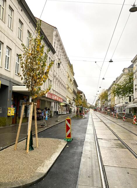 Die ersten Jungbäume zieren die Hütteldorfer Straße. | Foto: BV14