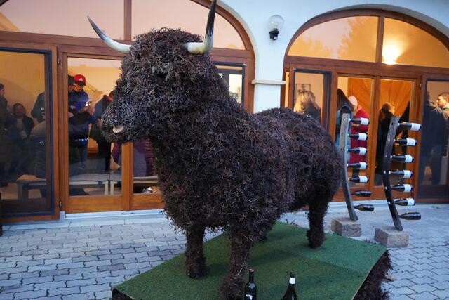 Attraktion im Stoanikeller: Bulli wurde von Leo Steinwandtner aus Weintrebern erschaffen | Foto: Andrea Glatzer