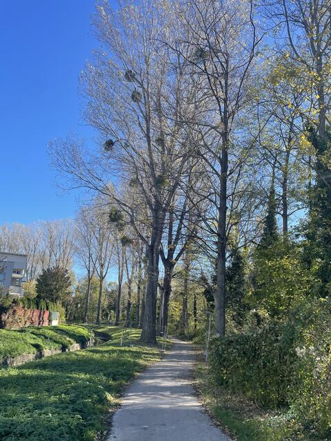 Foto: Zezula, Google Maps