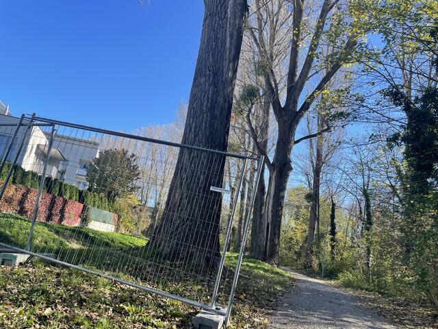 Die Absperrgitter für die Baumfällungen stehen bereit. | Foto: Zezula, Google Maps