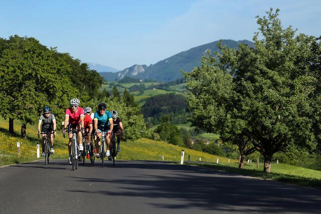 "Ybbstalradweg": Ohne die finanzielle Hilfe der Europäischen Union wären viele Projekte in unserer Region wohl kaum umsetzbar. | Foto: weinfranz.at