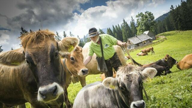 "Eisenstraße-Almen": Ohne die finanzielle Hilfe der Europäischen Union wären viele Projekte in unserer Region wohl kaum umsetzbar. | Foto: Theo Kust/imagefoto.at