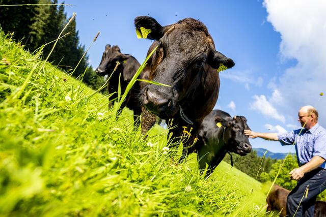 "BioRegion Eisenstraße": Ohne die finanzielle Hilfe der Europäischen Union wären viele Projekte in unserer Region wohl kaum umsetzbar. | Foto: Theo Kust/imagefoto.at