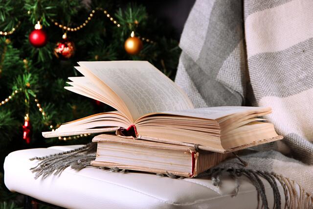 Wie wär es mit einem Buch aus der Region Enns als Weihnachtsgeschenk? | Foto: PantherMedia/belchonock